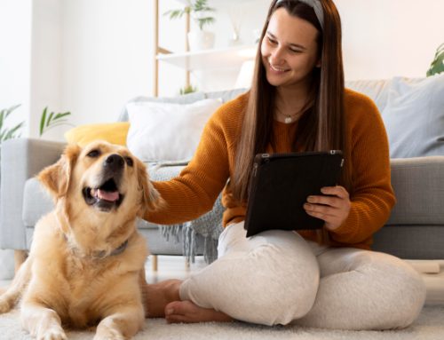 How to Move with Pets: Practical Tips for Pet Owners